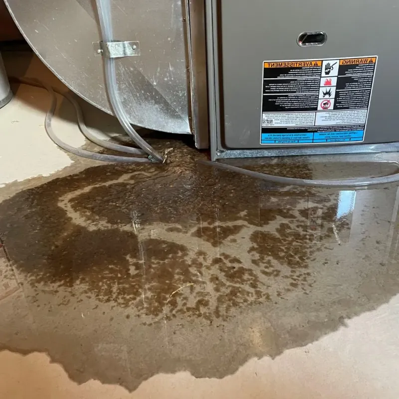 Pipe Burst and Leak Restoration in National City, CA