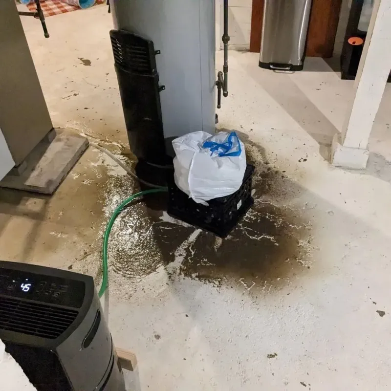 Sewage Backup Cleanup Service in National City, CA